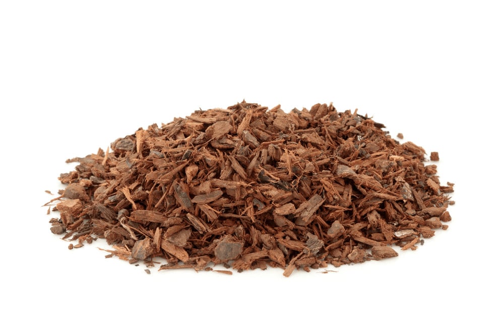 Pygeum supplement bark herb