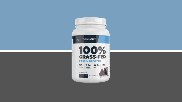 Best Casein Protein