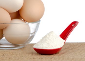 Best Egg White Protein Powders