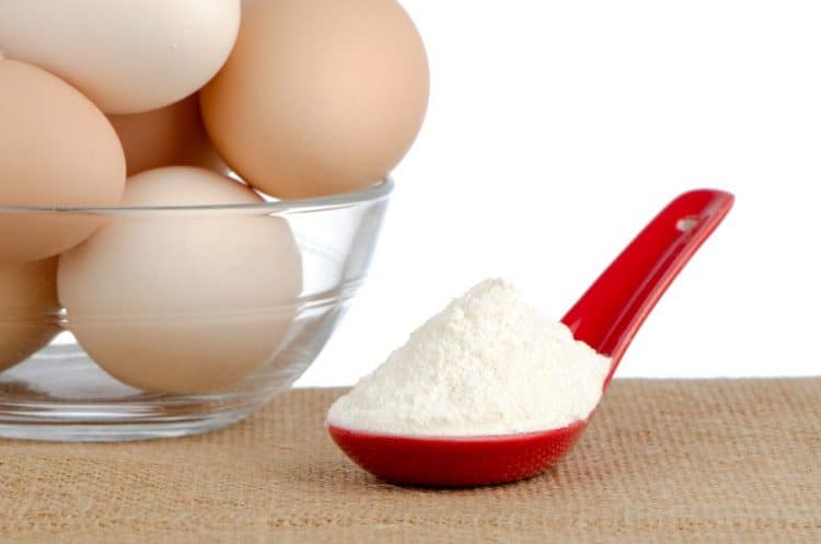 Best Egg White Protein Powders
