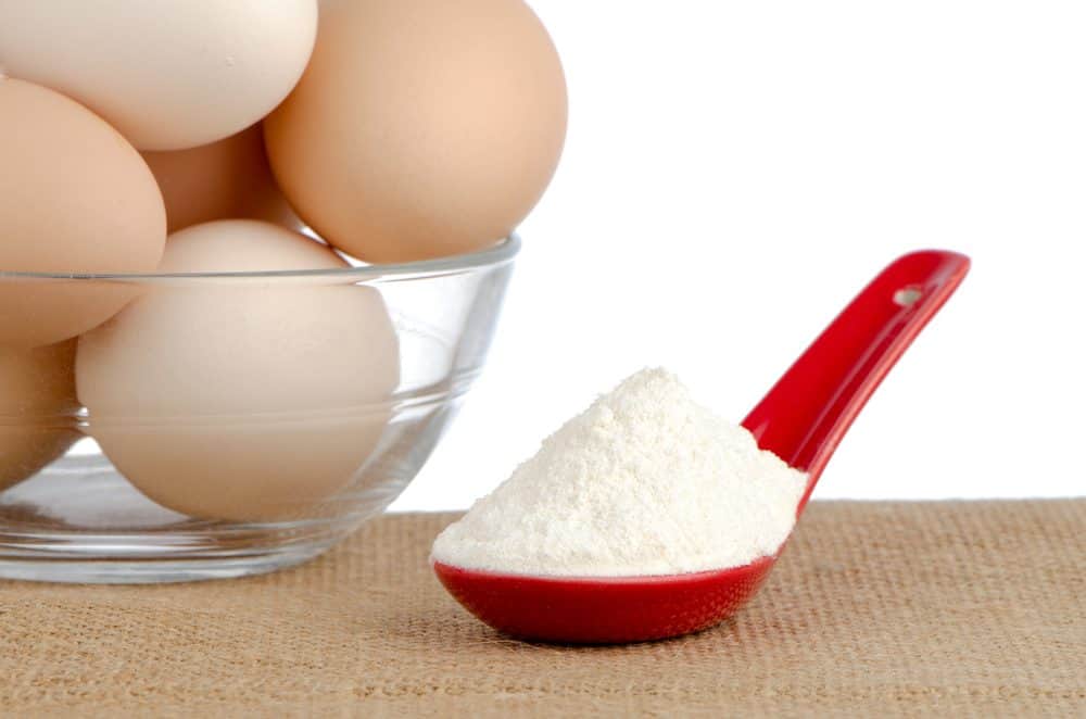 Global Egg White Protein Powder Market Research Status, Business Growth