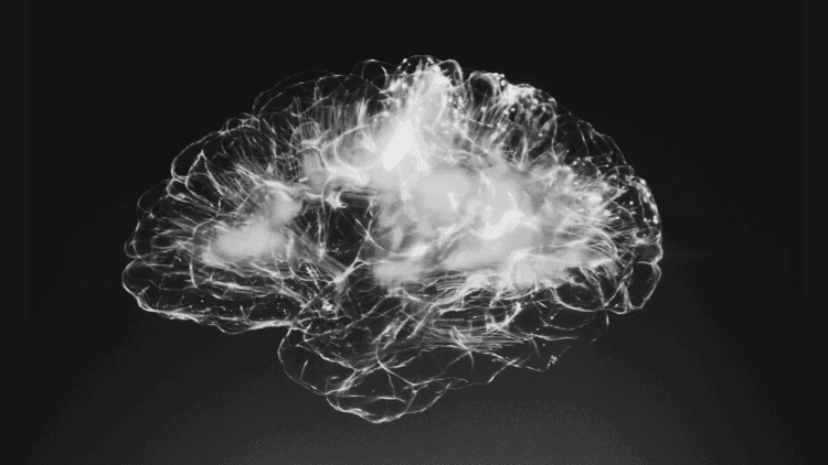 Natural Adderall Alternatives