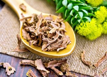 Best Rhodiola Rosea Supplements