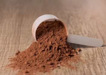 10 Types of Protein Powder & Uses