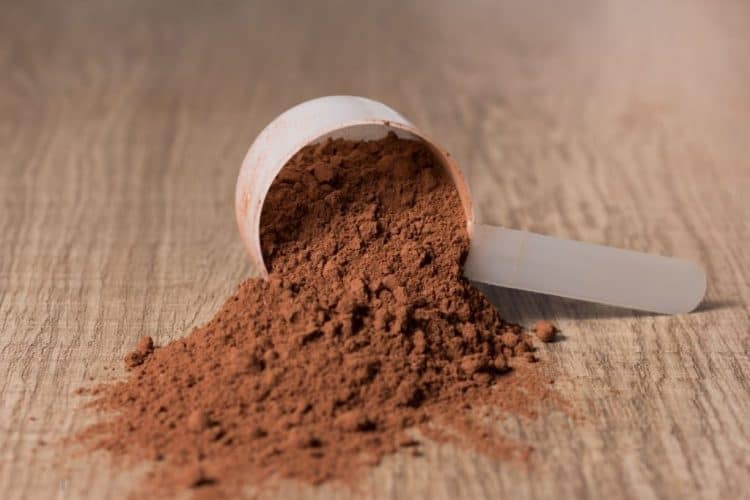 10 Types of Protein Powder & Uses