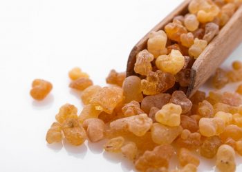 Best Boswellia Supplements