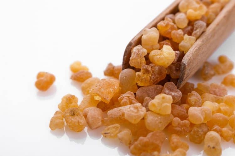 Best Boswellia Supplements