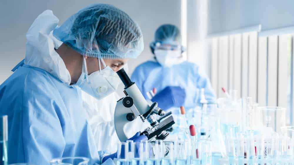 Researchers in a lab studying and looking through a microscope.