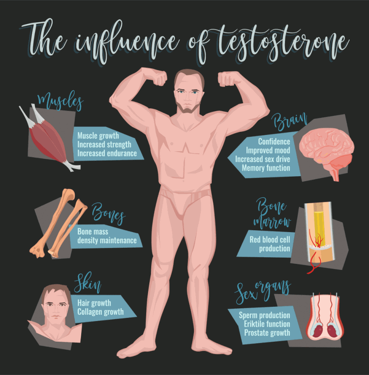 testosterone boosting benefits