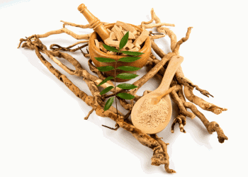 Best Tongkat Ali Supplements