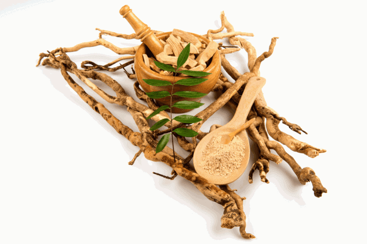 Best Tongkat Ali Supplements